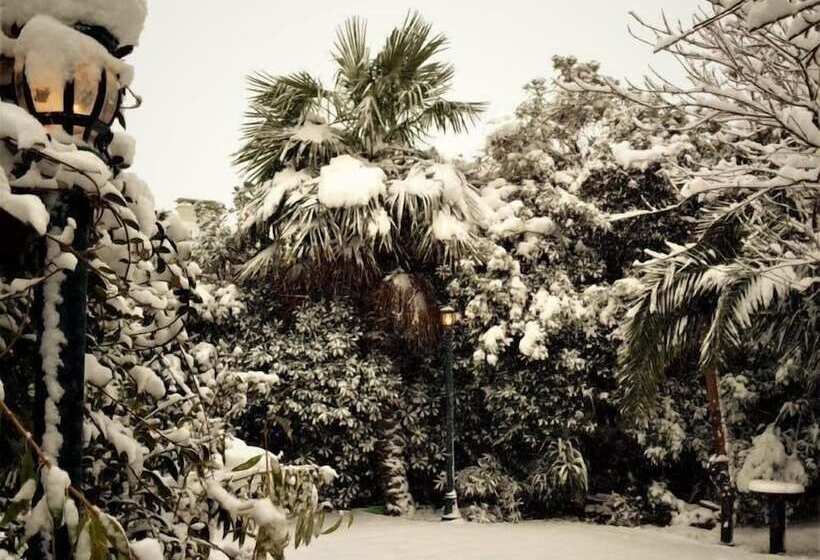 Cuci Hotel Di Mare Bayramoglu