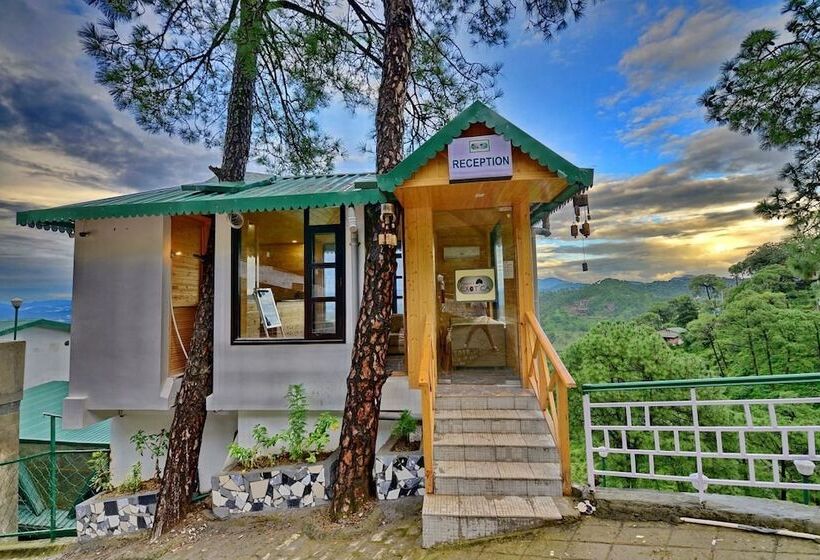 فندق Kasauli Exotica