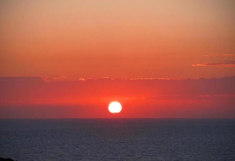 酒店 Mercury Boutique