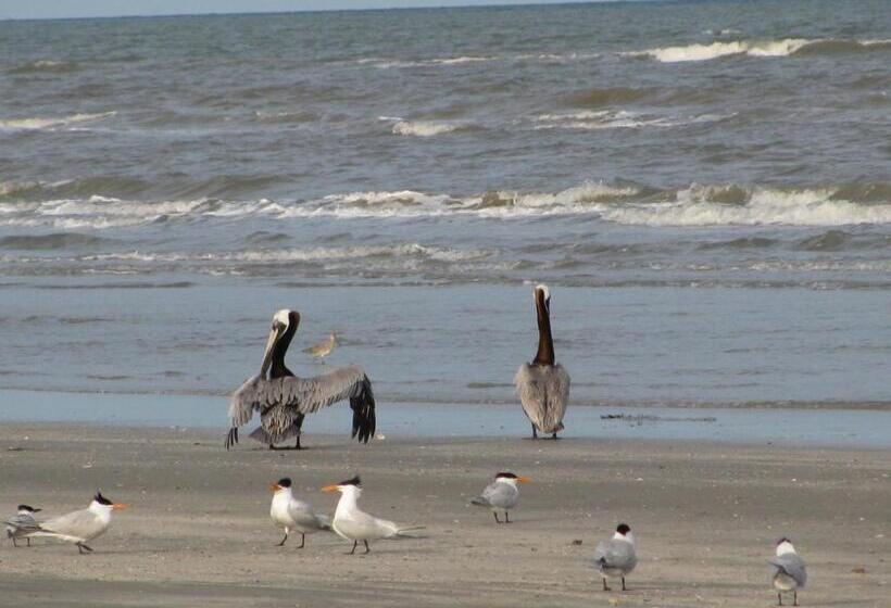 ホテル Peregrine Townhomes