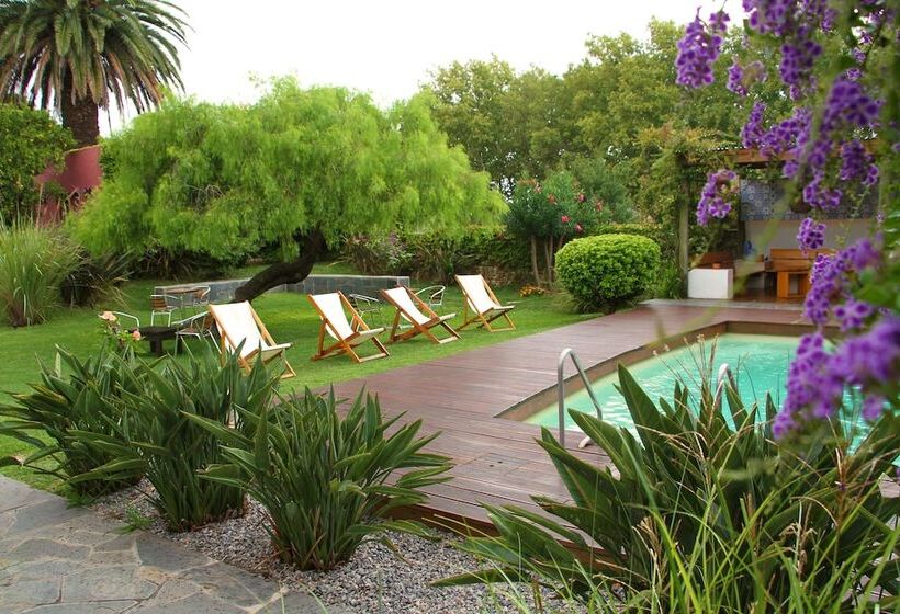 هتل Posada El Capullo