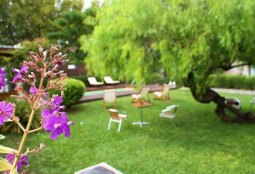 هتل Posada El Capullo