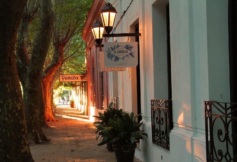 هتل Posada El Capullo