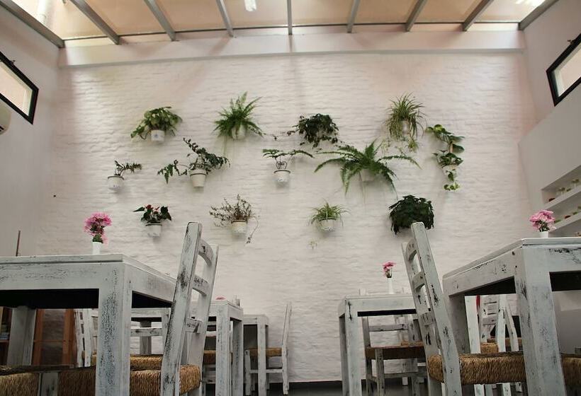 هتل Posada El Capullo