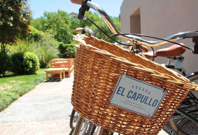 هتل Posada El Capullo