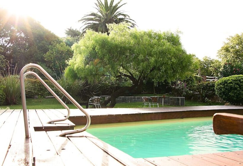 هتل Posada El Capullo