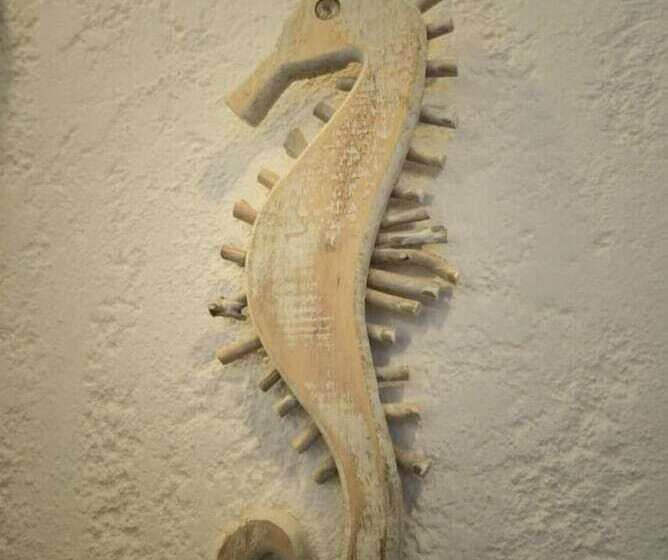 ホテル Pousada Peixe Galo