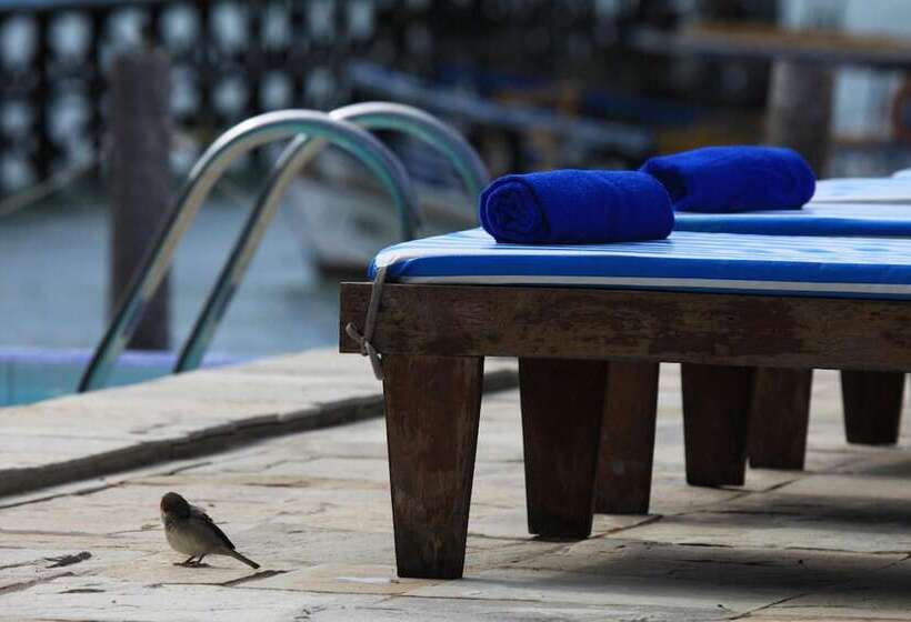 ホテル Pousada Peixe Galo