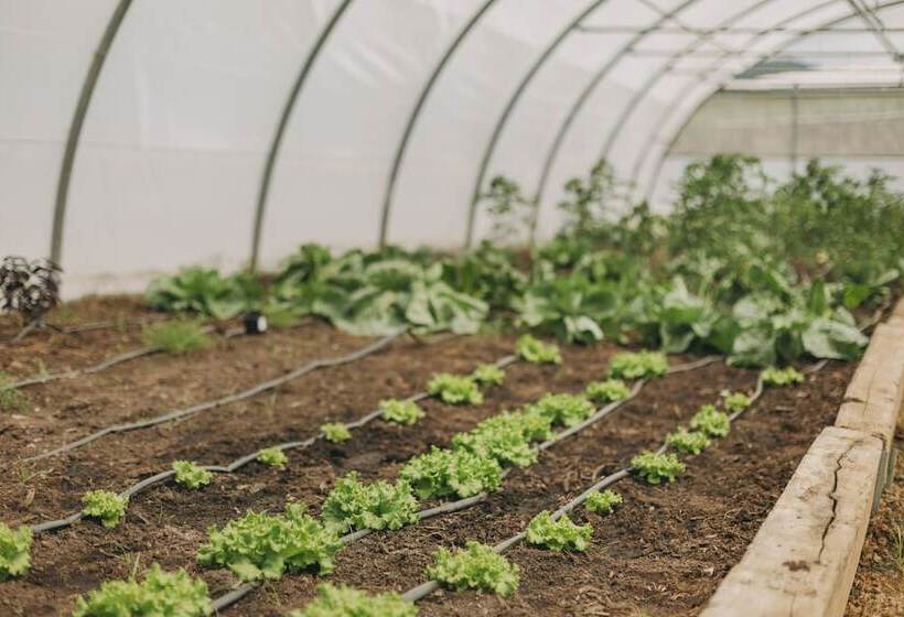 ホテル Santa Bárbara Ecobeach Resort