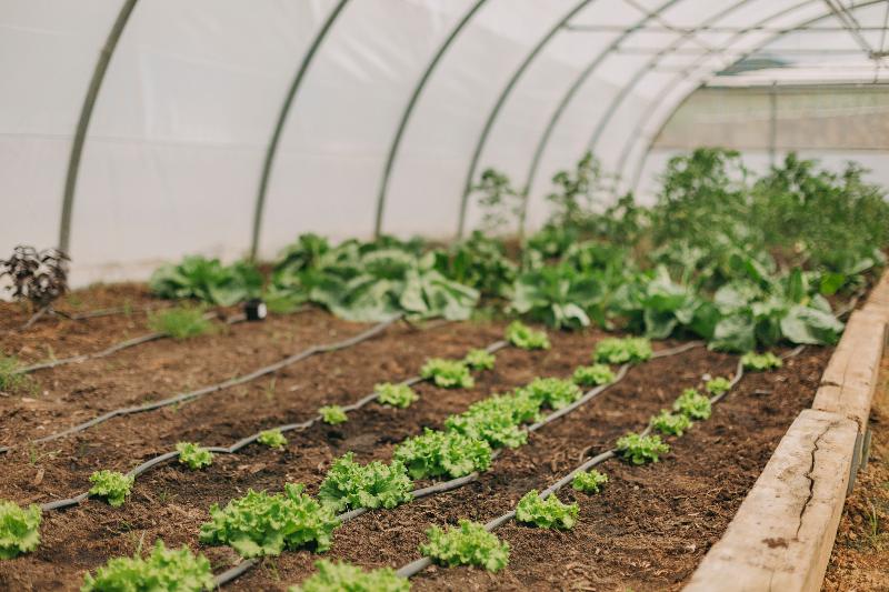 ホテル Santa Bárbara Ecobeach Resort