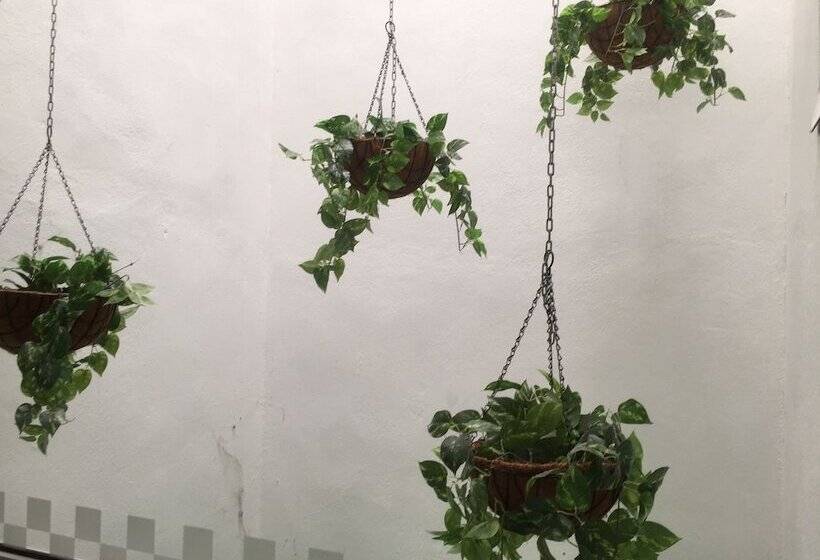 ホテル Simfoni Resort