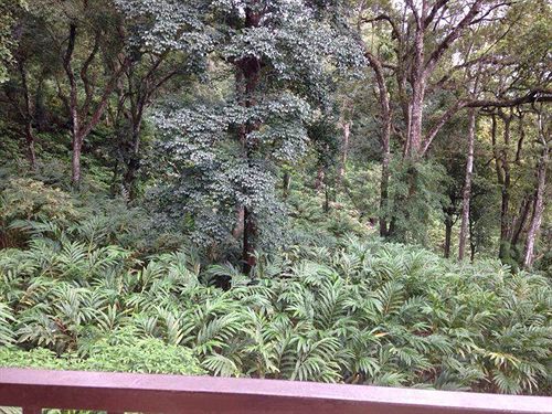 هتل Spice Jungle Resort