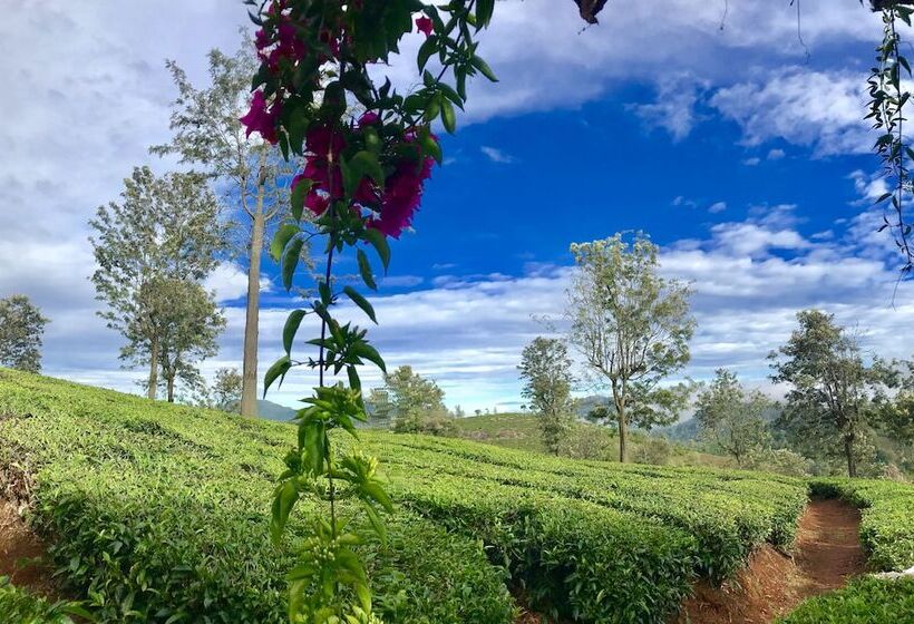 فندق Sunvalley Homestay