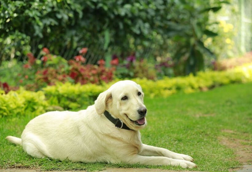 בית מלון כפרי Sunvalley Homestay