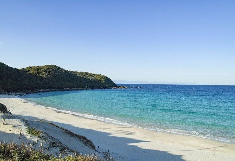 فندق Tanegashima Araki