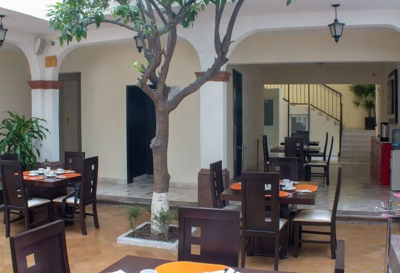 Отель The Lit 13