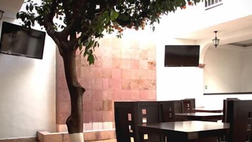 Отель The Lit 13