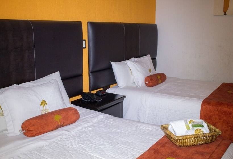 Отель The Lit 13