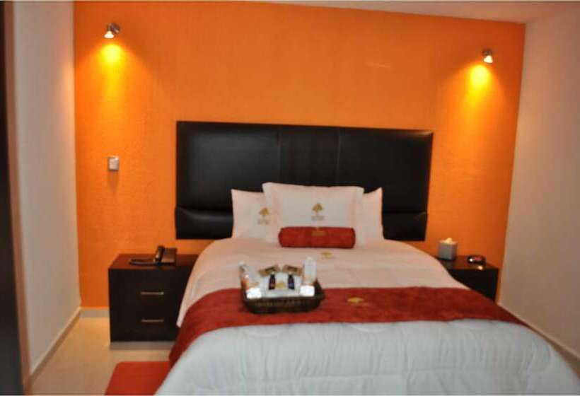 Отель The Lit 13