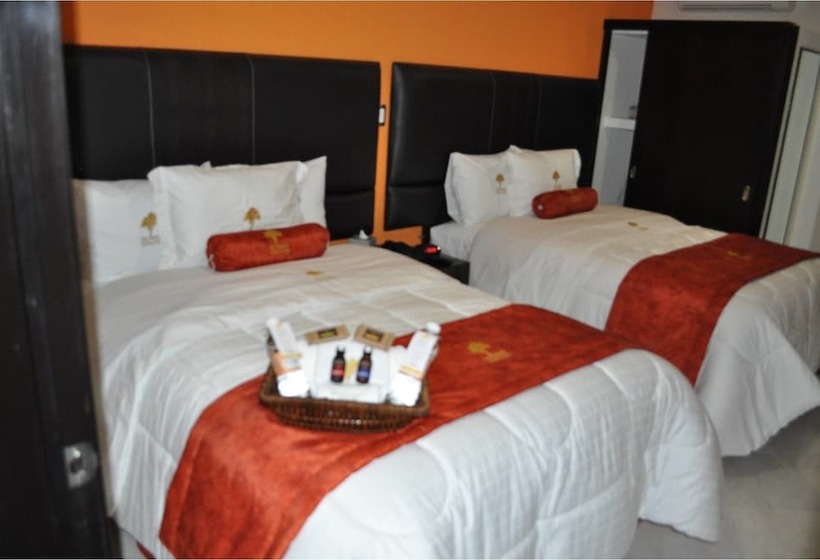 Отель The Lit 13