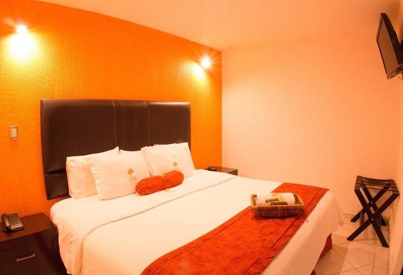 Отель The Lit 13