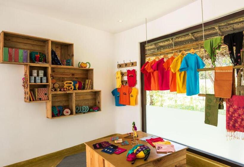 酒店 Xandari Pearl Beach Resort