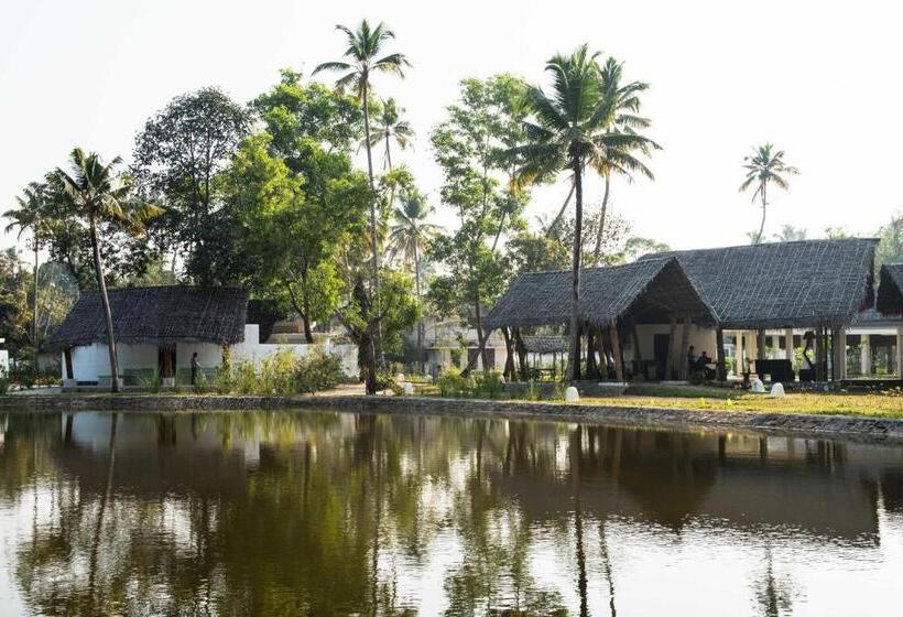 酒店 Xandari Pearl Beach Resort