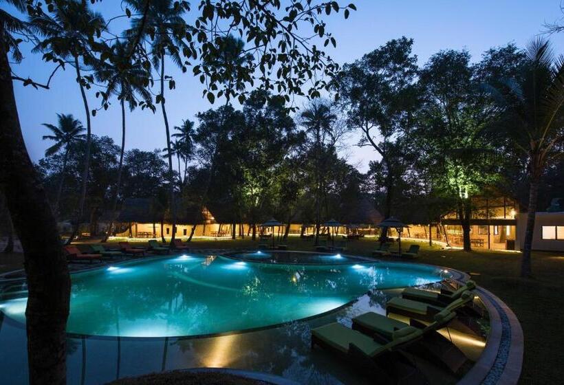 酒店 Xandari Pearl Beach Resort