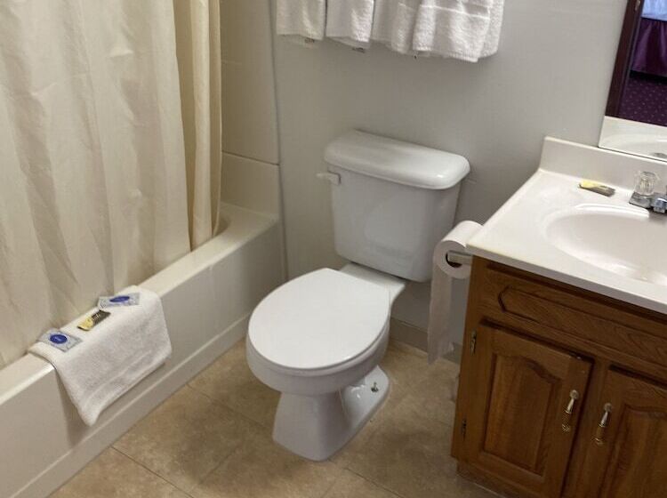 Мотель Royal Inn