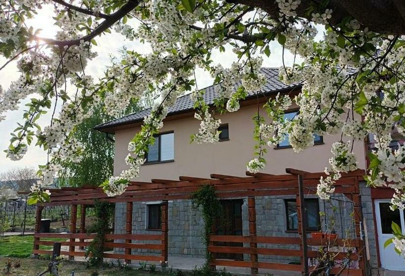 Agropensiunea Alexandra