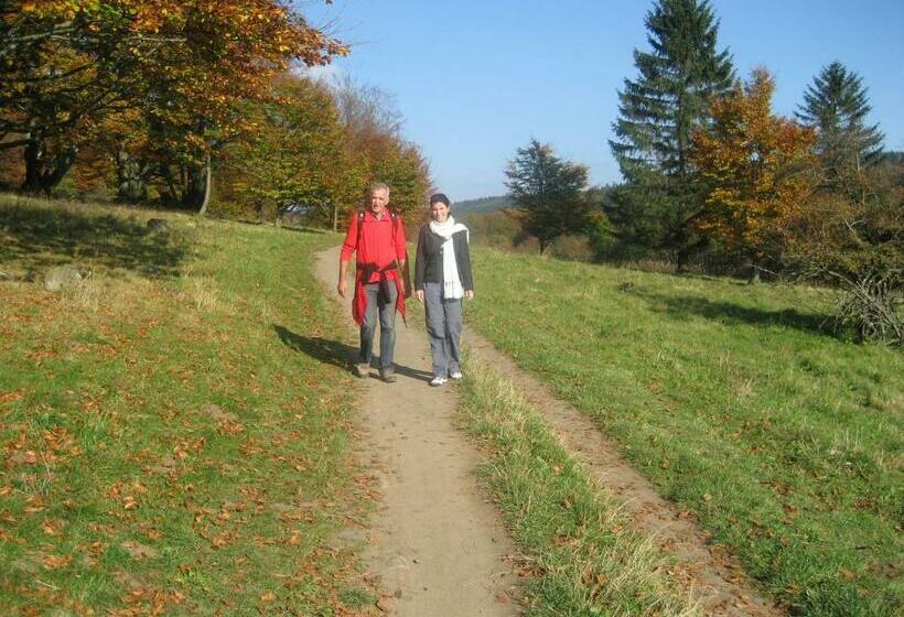 Общежитие Gästehaus & Ferienhof Hüfner