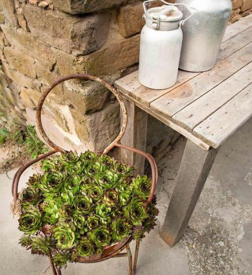 Bed and Breakfast Cà Colmello   Country House