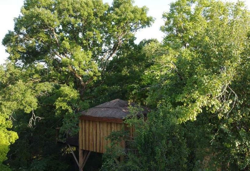 住宿加早餐  Cabane Les Vertiges De La Moure