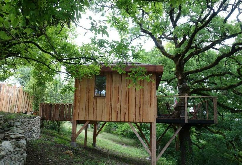 住宿加早餐  Cabane Les Vertiges De La Moure