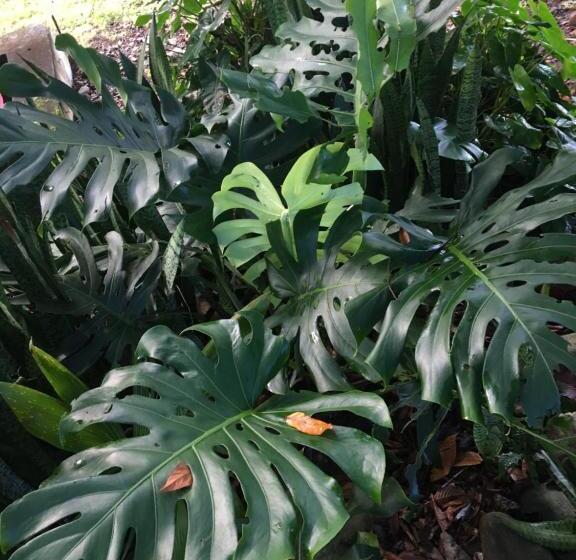 مبيت وإفطار Casa Dolcecr