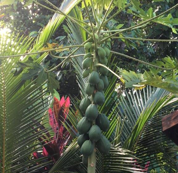 مبيت وإفطار Casa Dolcecr