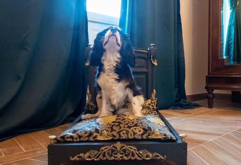 住宿加早餐  Casabella 22