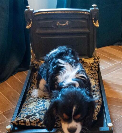 住宿加早餐  Casabella 22