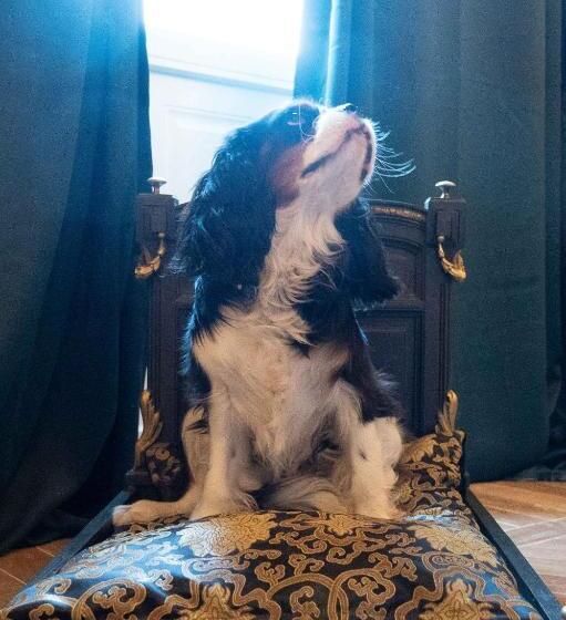 Bed and Breakfast Casabella 22