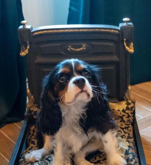 住宿加早餐  Casabella 22