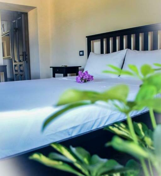 Bed and Breakfast Dimora Arborea