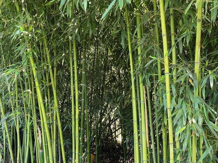 Bed and Breakfast Domaine De La Provençale