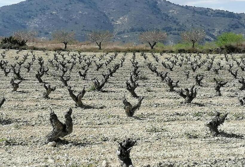 تختخواب و صبحانه Habitaciones En Finca Olivo Y Almendro
