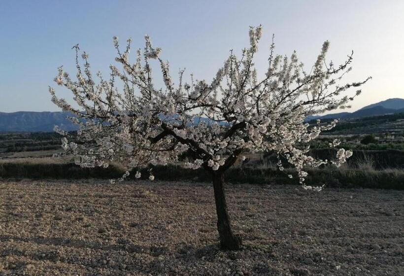 تختخواب و صبحانه Habitaciones En Finca Olivo Y Almendro