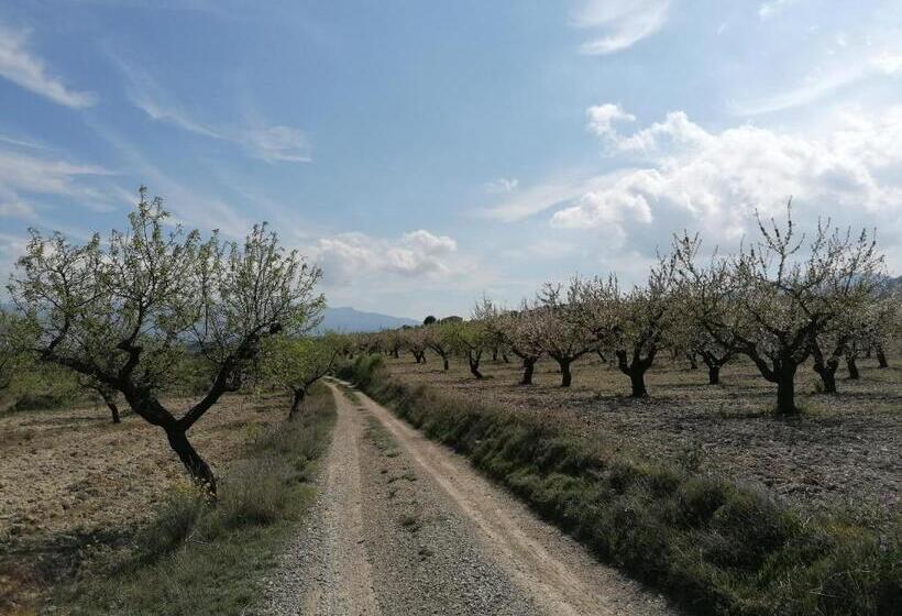 تختخواب و صبحانه Habitaciones En Finca Olivo Y Almendro