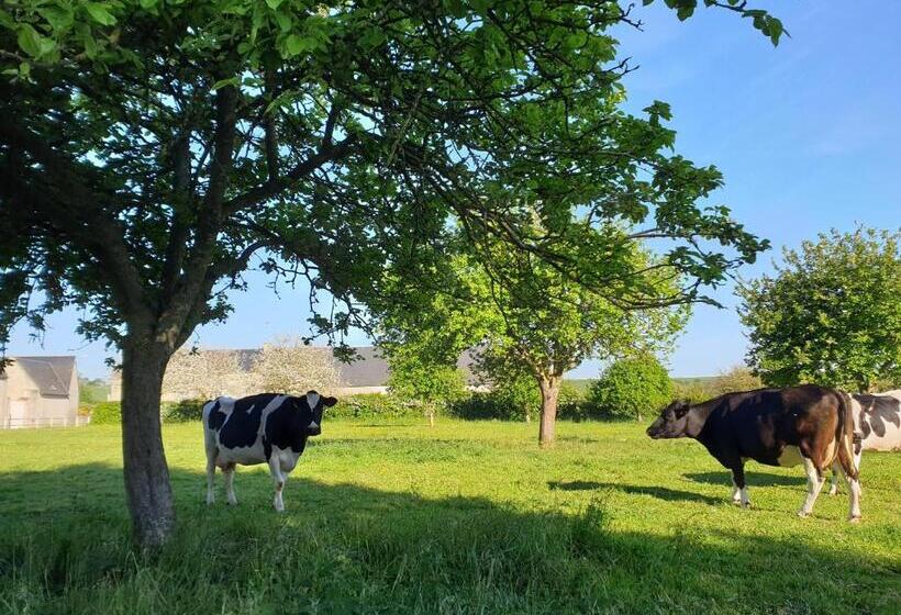 Bed and Breakfast La Maison De Nacre