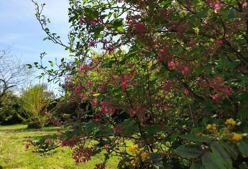 Bed and Breakfast La Maison De Nacre
