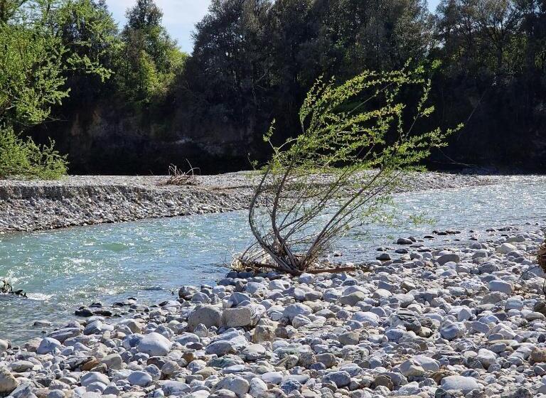 مبيت وإفطار La Quercia Sul Lao Bed&breakfast