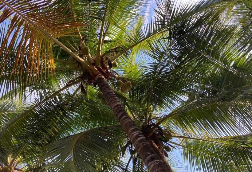 민박 Palmetto Lodge