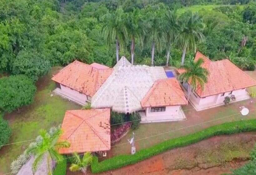 민박 Palmetto Lodge